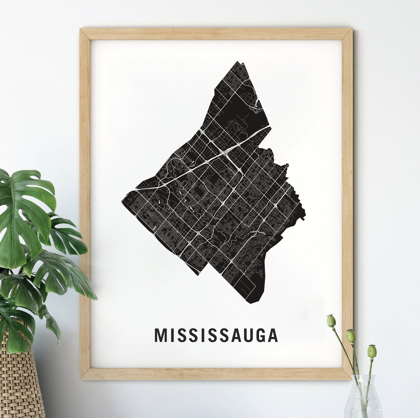 Mississauga Map, Ontario